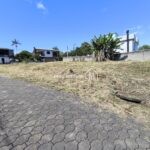 IMG_20241220_091435