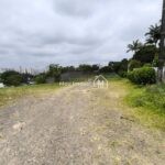 IMG_20250118_120025
