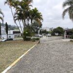 IMG_20250118_120234
