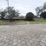 IMG_20250524_140405