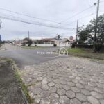 IMG_20250524_140411