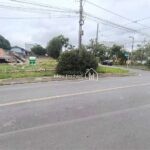 nao 03 correta para site