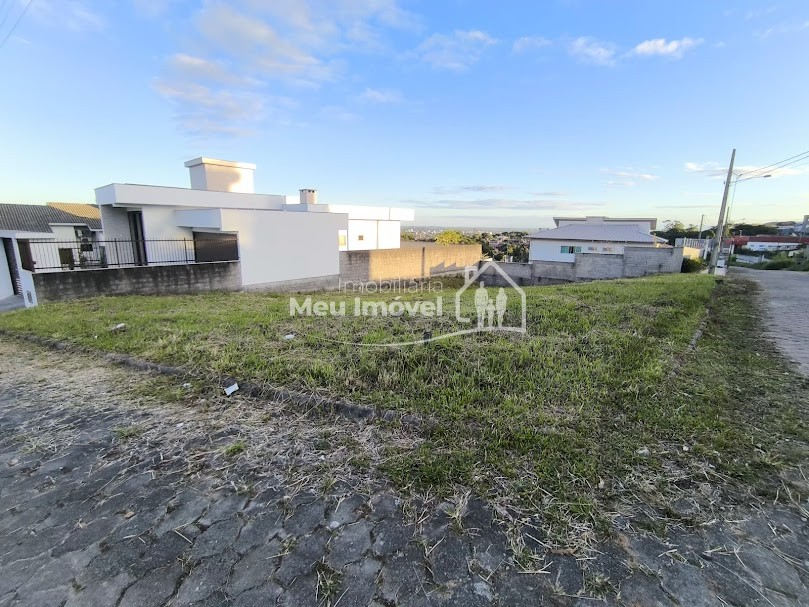 IMG_20250613_164745