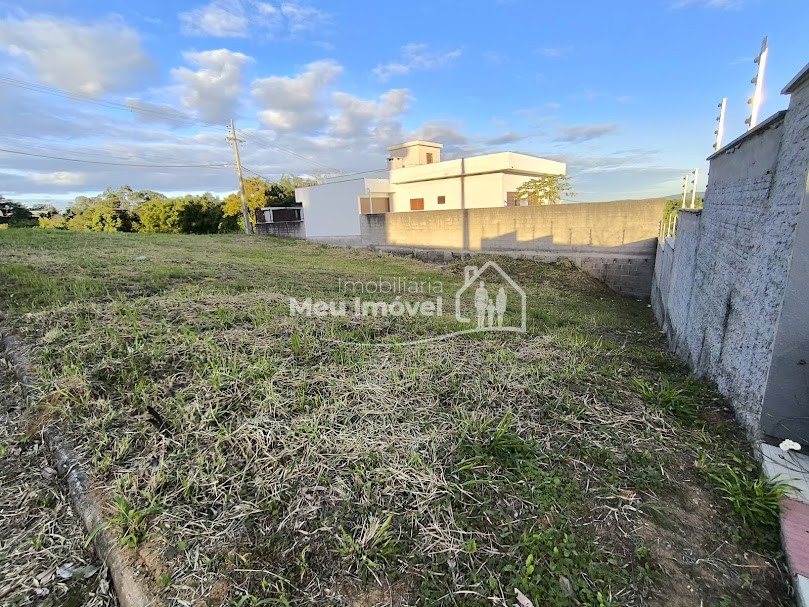 IMG_20250613_164859