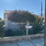 WhatsApp Image 2025-07-22 at 14.14.40 (16)