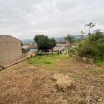 003479e4-1f51-4a6c-92ac-d487cf6863bb