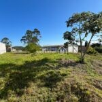 WhatsApp Image 2025-10-02 at 16.18.34 (3)