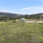 IMG_20251127_174239