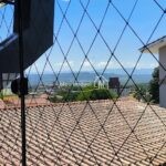 IMG_20251218_141727
