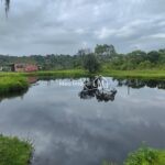 287f7d04-2e17-4587-b50e-01b0aa6a8949