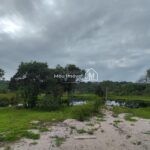 d35af0e0-a2fb-4707-a768-a05506eafdf1