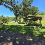 20260212_103635(0)-2