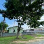 4922578953185201236 (1)