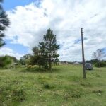 WhatsApp Image 2026-02-09 at 14.58.20