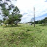 WhatsApp Image 2026-02-09 at 14.58.20 (2)