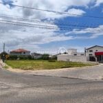 WhatsApp Image 2026-02-10 at 14.20.41 (2)