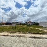 WhatsApp Image 2026-02-10 at 14.20.42 (1)