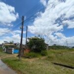 WhatsApp Image 2026-02-10 at 14.44.33