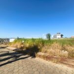 WhatsApp Image 2026-02-11 at 14.12.19