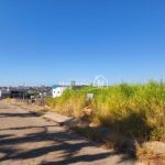 WhatsApp Image 2026-02-11 at 14.12.20 (1)