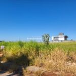 WhatsApp Image 2026-02-11 at 14.12.20