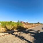 WhatsApp Image 2026-02-11 at 14.12.20 (2)