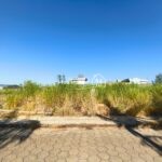 WhatsApp Image 2026-02-11 at 14.12.21