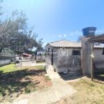 WhatsApp Image 2026-02-11 at 14.30.56