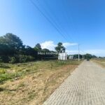 WhatsApp Image 2026-02-12 at 14.50.25 (3)