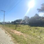 WhatsApp Image 2026-02-12 at 14.50.26 (1)