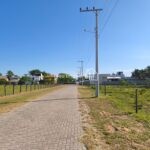 WhatsApp Image 2026-02-12 at 14.50.26