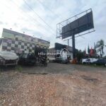 WhatsApp Image 2026-02-20 at 10.10.34 (2)