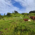 50c02b00-4e60-4739-94a3-13797f4b13d6