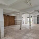 8ebd8d2d-9302-4e5a-8458-6488c0e9b4f4