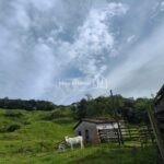 9e38bc35-6d85-4983-833f-ed3ca3d390d7