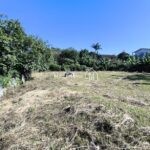 IMG_20260328_094020 (1)