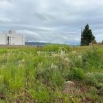 WhatsApp Image 2026-03-16 at 09.50.14 (1)