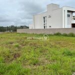 WhatsApp Image 2026-03-16 at 10.37.24 (1)