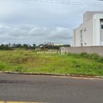 WhatsApp Image 2026-03-16 at 10.37.24