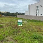 WhatsApp Image 2026-03-16 at 10.37.25 (1)