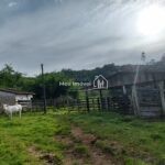 b5cd1b5b-de33-4797-8216-9eb36f028324