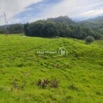 e1410195-fd1e-45a3-84cd-ad09023e9773