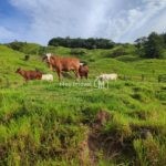 e70cb602-5fe6-4b93-a9d7-a5c7047dc30b