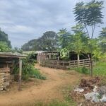 2ab36561-e6f3-43ce-9c9f-40523cfd59e3