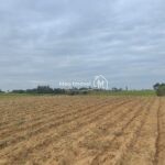 854d58aa-5eb5-478f-a811-dbdf247a45d1