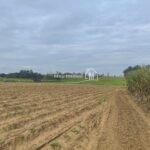 87891af5-796b-4c3e-94d9-2795205ef0aa