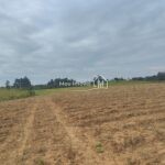 8e3bc2b1-cc6e-4138-a3b4-ccb1fd5d7b19