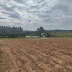 9dd2c843-f30a-494e-ae42-46f9d07d801c