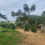 cb26e831-c3b6-42ab-988f-6bd655a9b59f