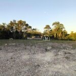 IMG_20260428_172832